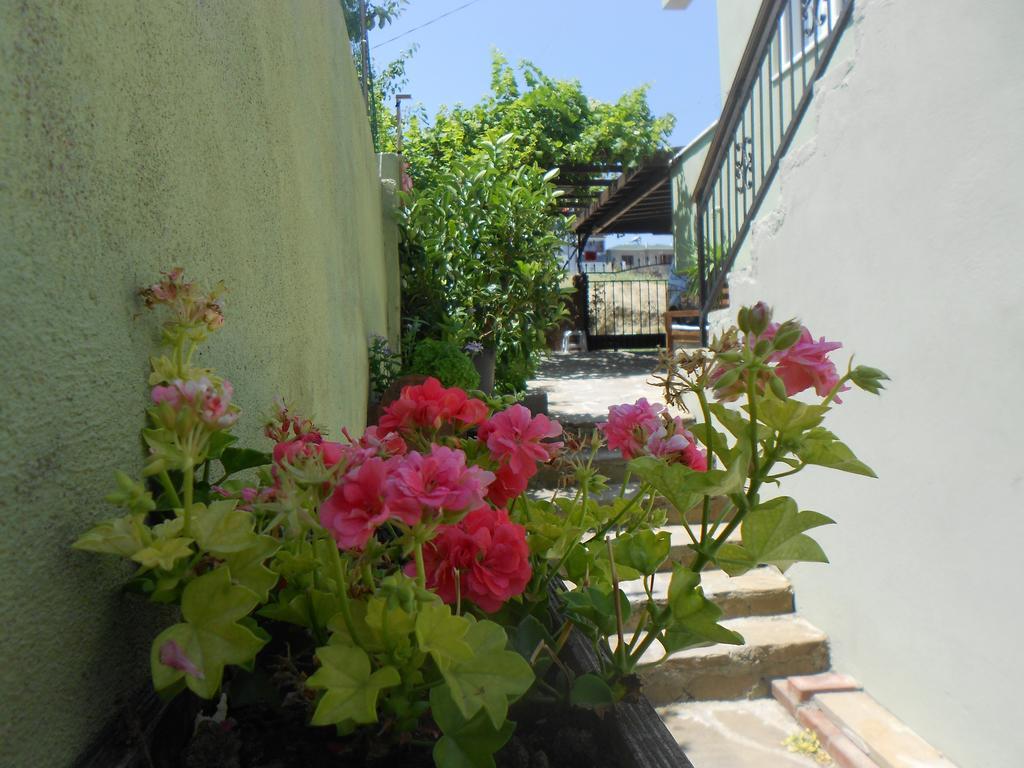 Irmak Family Pension & Apartments Eceabat Ruang foto